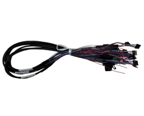 Automotive Harness